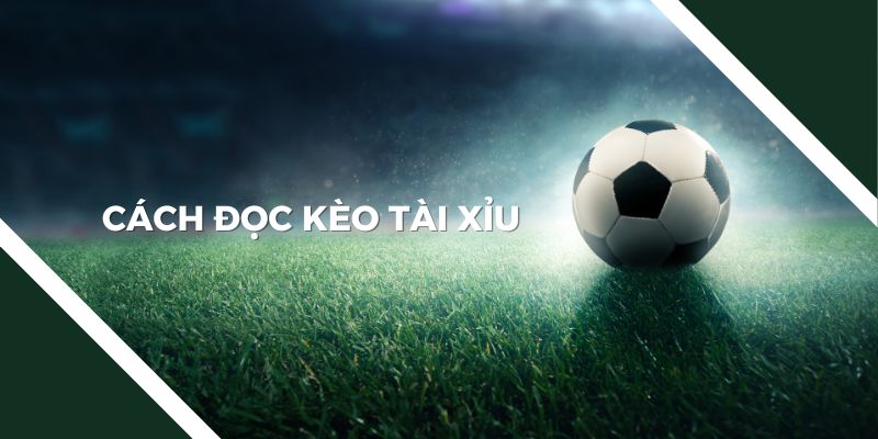 Cách đọc kèo tài xỉu – Hướng dẫn chi tiết 2024