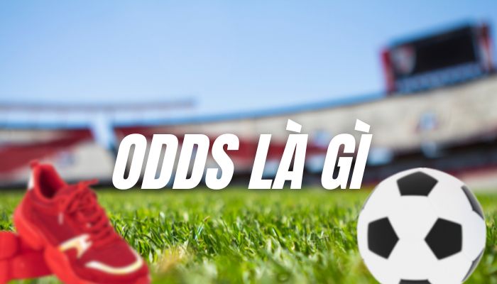 Tìm hiểu Odds là gì trong bóng đá – Khám phá ngay!